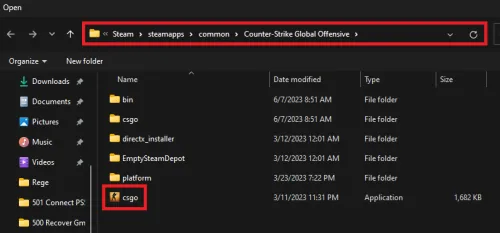 open csgo app