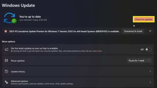 windows update