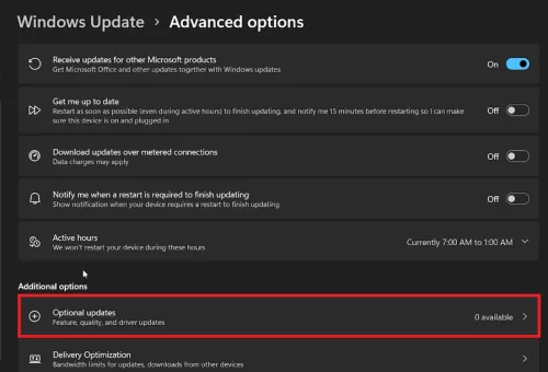 optional updates