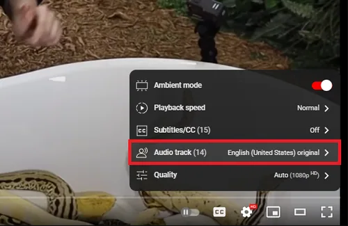 audio track option