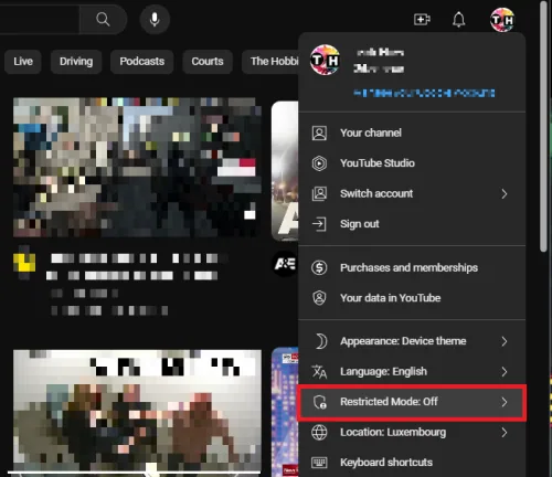 disable restricted mode on pc