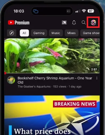 youtube profile