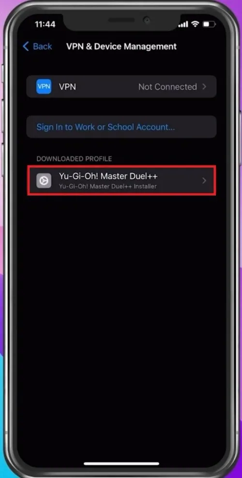 iPhone Settings > General > VPN & Device Management