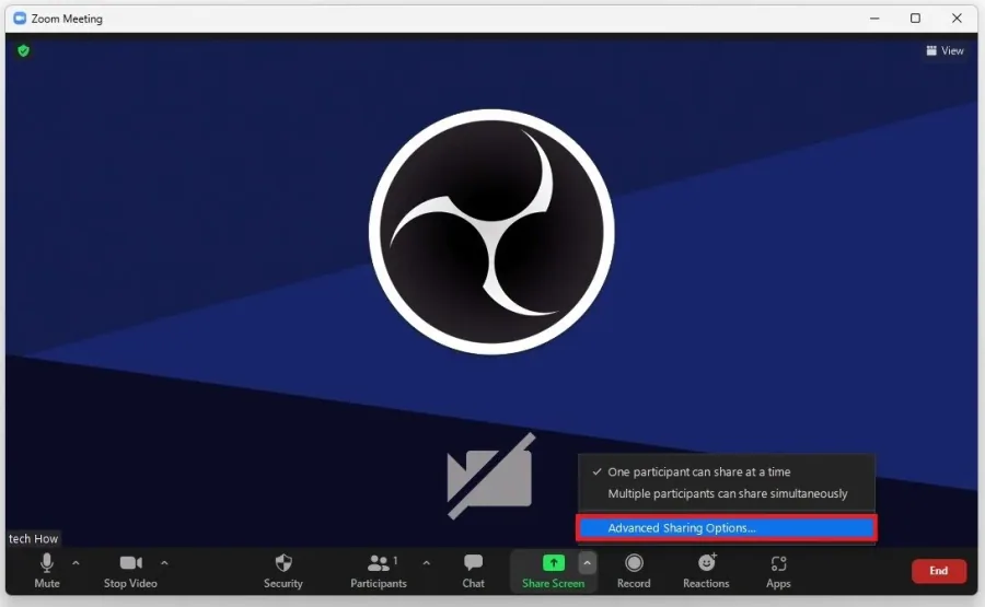 Zoom Meeting Settings > Advanced Sharing Options