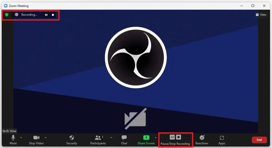 Zoom Meeting > Start Recording