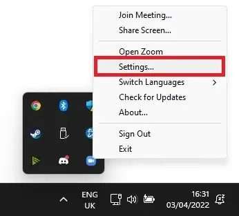 System Tray > Zoom > Settings