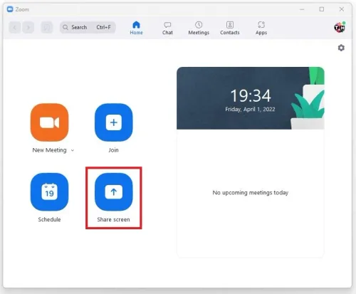 Zoom > Share Screen