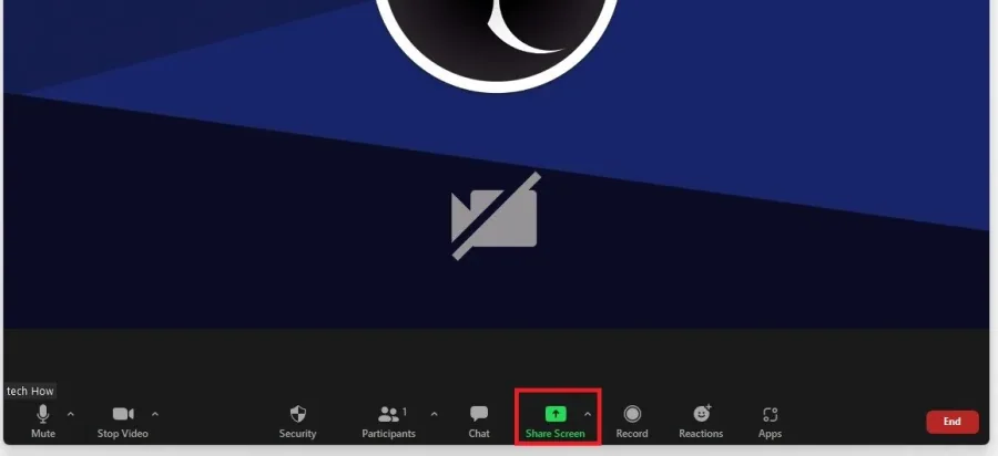 Zoom Meeting > Share Screen